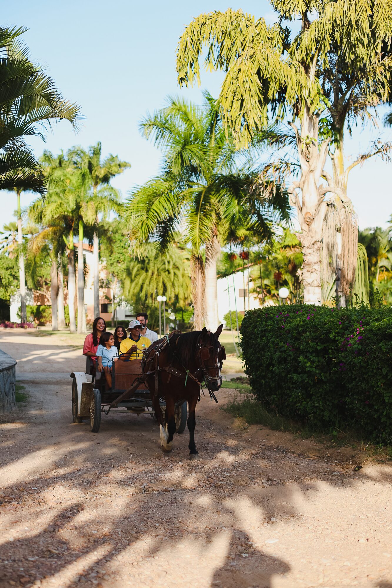 Cavalgada e charrete