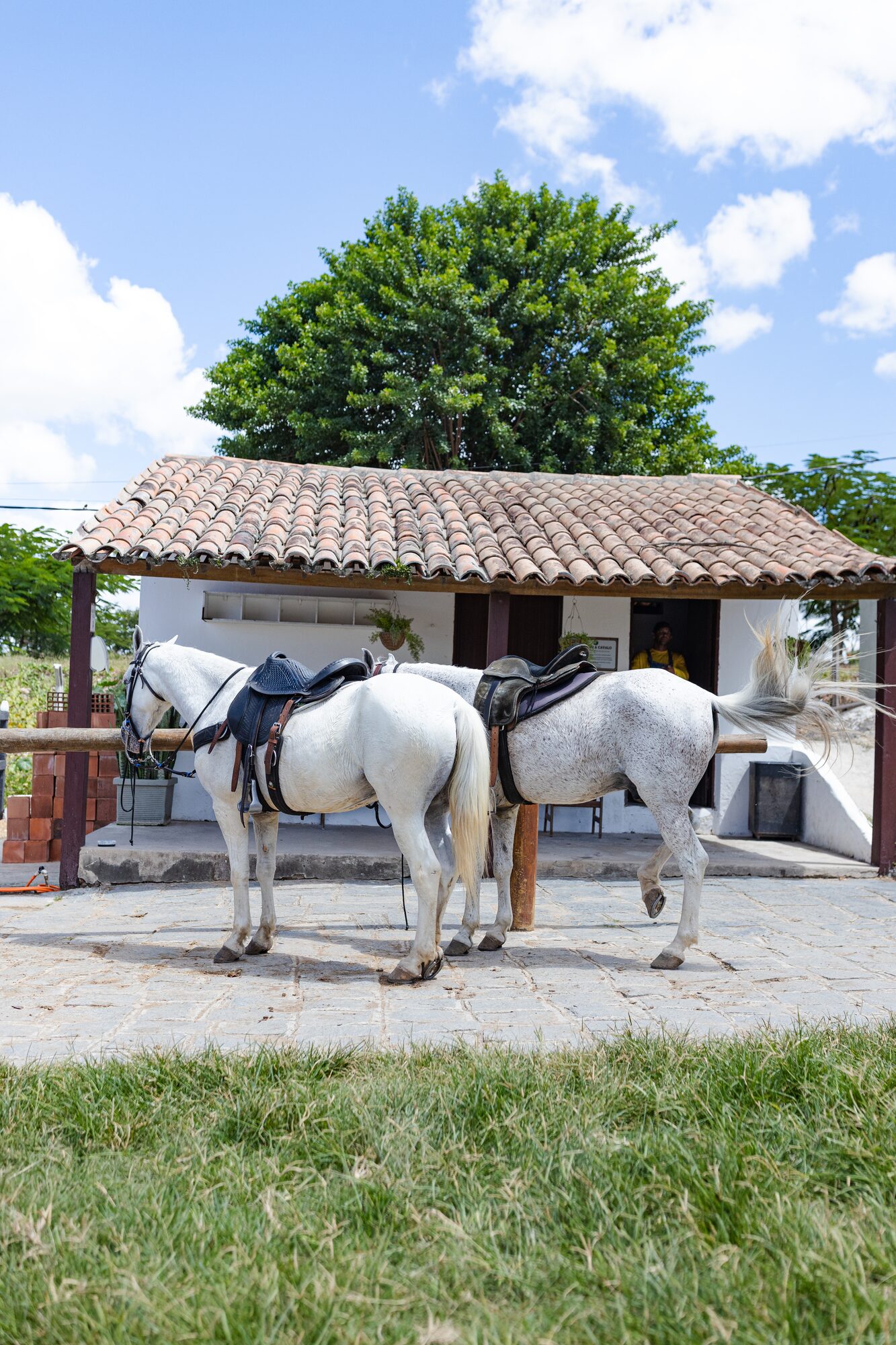 5 trilhas imperdíveis na serra de Pernambuco